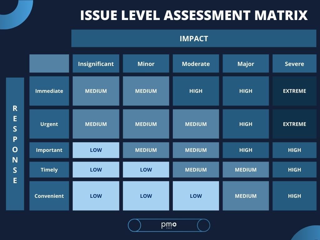Issue level matrix