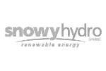 Snowy Hydro